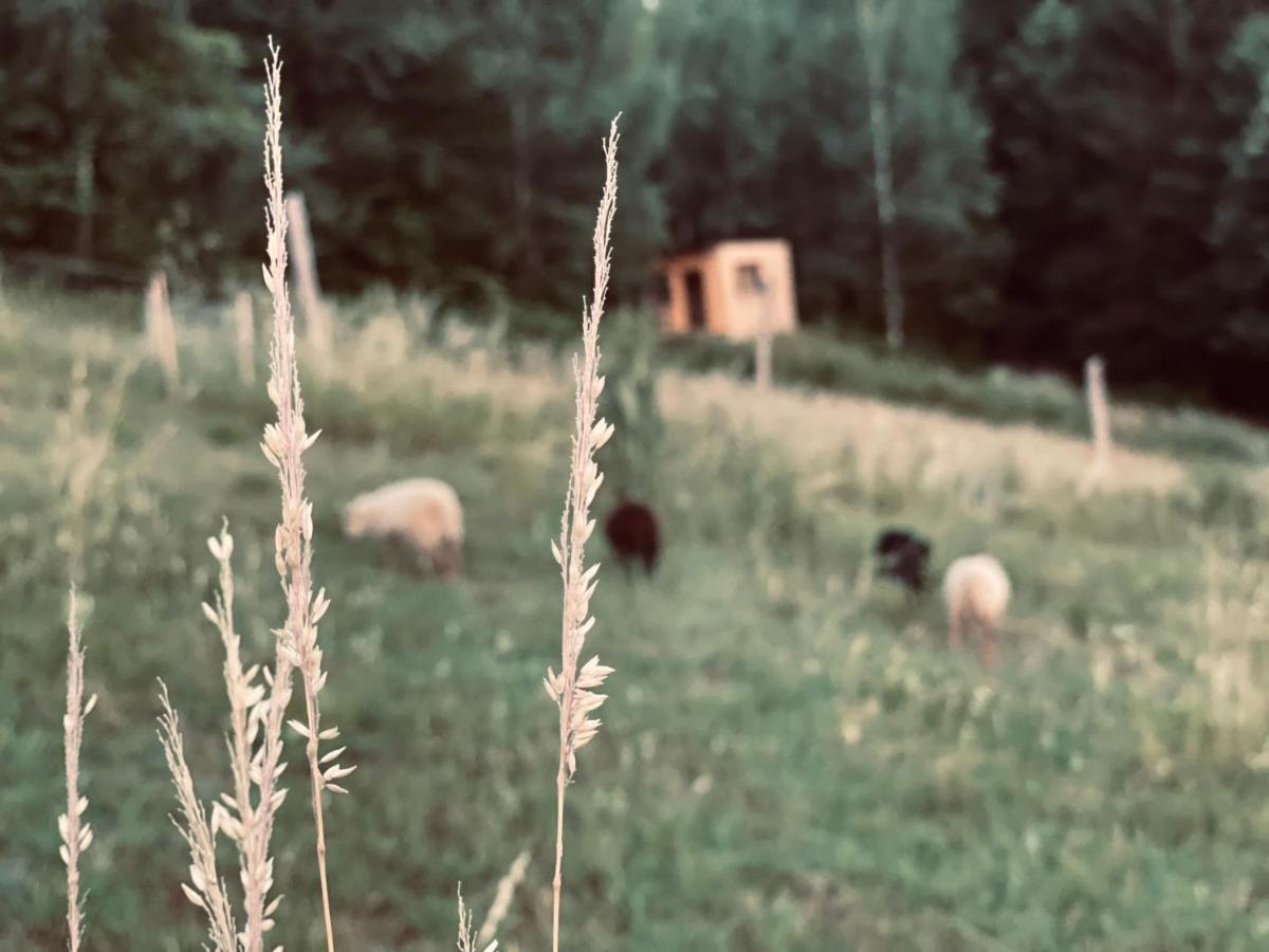 Holiday home Boutique Glamping Divja Divine *