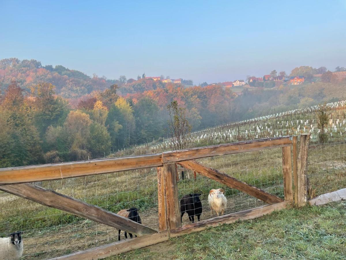 Holiday home Boutique Glamping Divja Divine *