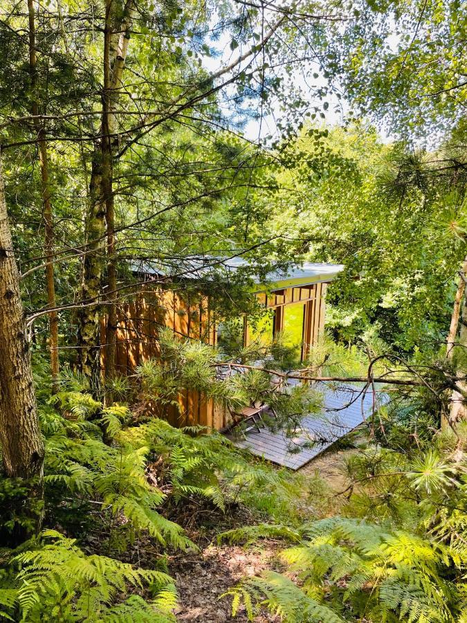 Boutique Glamping Divja Divine