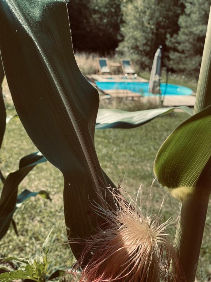 Boutique Glamping Divja Divine Casa vacanze