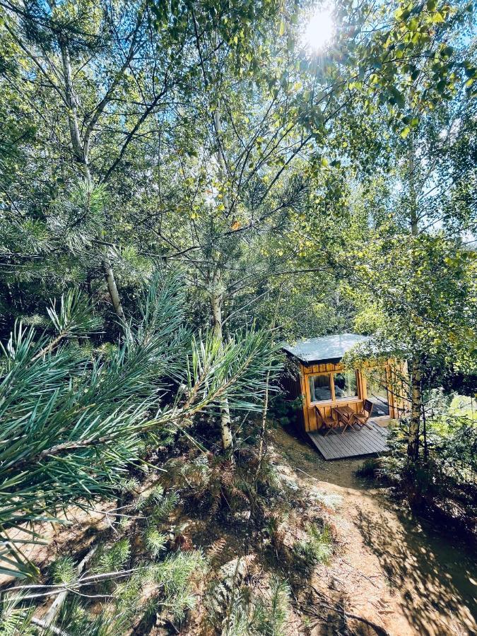 Boutique Glamping Divja Divine Zgornja Korena